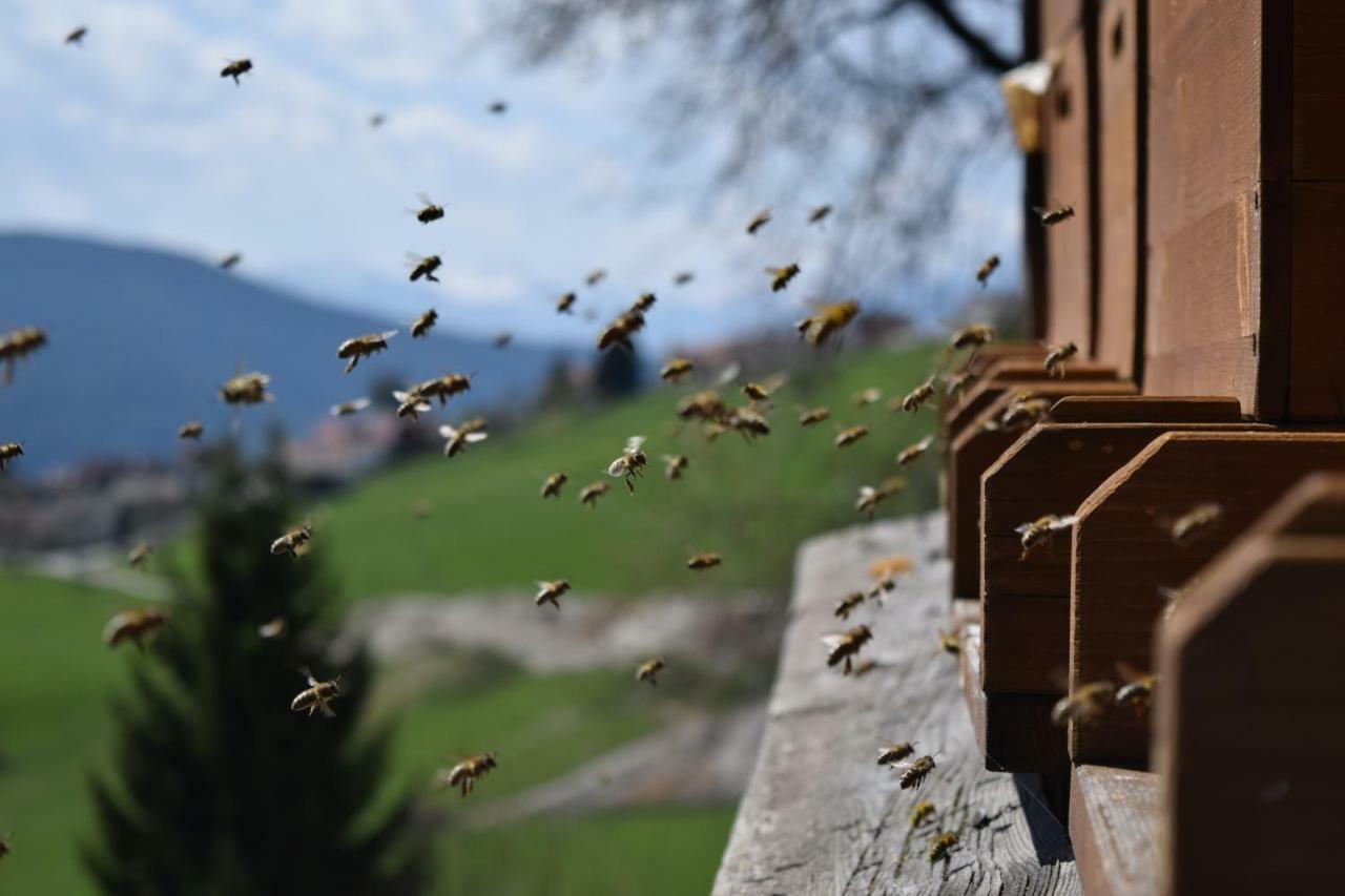 Toetscherhof Terento Bagian luar foto
